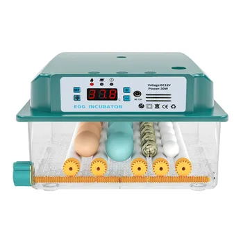 16 Yumurta Kuluçka Makinesi Tavuk Kaz Kuş Bıldırcın Otomatik Kuluçka Ekipmanları Kuluçka Kuluçka Araçları AB Tak